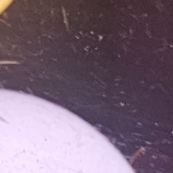 Rectangular Polarized Sports Sunglasses forMen Women Cycling Driving Fishing UV - Picture 4 of 7